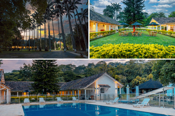 Collage con Conjunto de palmeras y arbustos entre los cuales se encuentra una cabaña de luces conjunto de tres mesas con sombrilla en un jardín con prado verde y arbustos frondosos, rodeado de cabañas en donde se encuentran las habitaciones y piscina del hotel y centro vacacional Las Palmeras con seis sillas playeras alrededor y una reja detrás de la cual están las cabañas de hospedaje