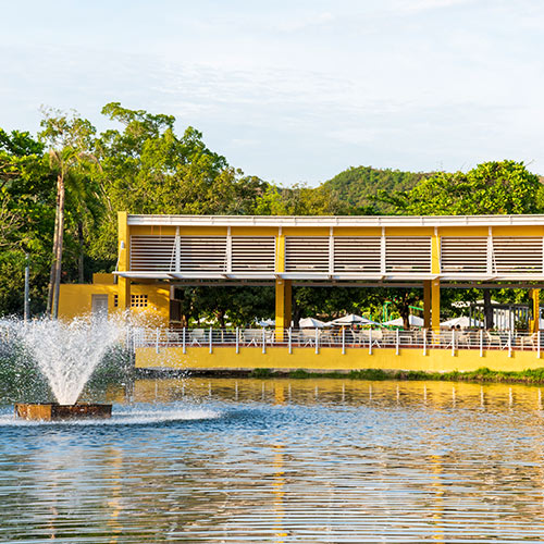 Vista panorámica de lago natural con una fuente, alrededor de muchos árboles y frente a uno de los restaurantes con descuentos para fin de semana del Hotel Lagosol