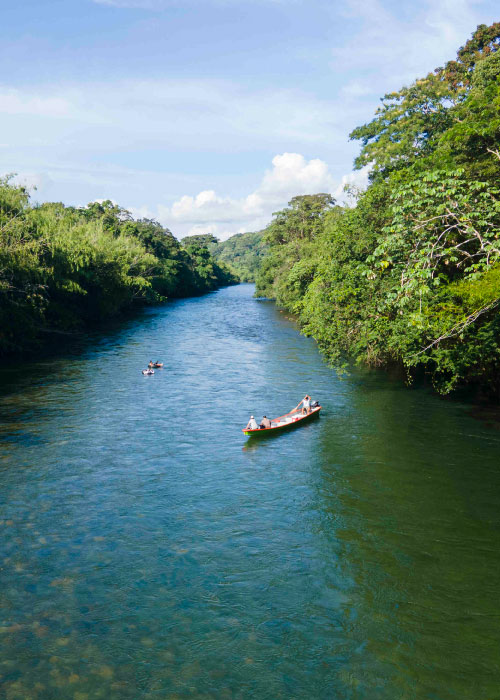 Río de agua de color verde y tranquila que está rodeado por vegetación densa y árboles altos a ambos lados. En el centro de la imagen, se observa una canoa con varias personas a bordo, las cuales están navegando río abajo y disfrutando de uno de los planes de turismo ecológico en Colombia
